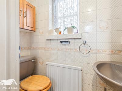 Picture 8
